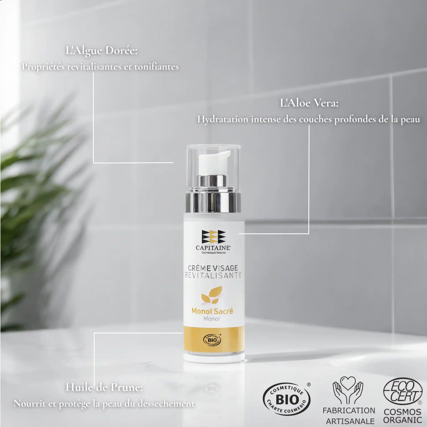 Crème Visage BIO Revitalisante – Aloe vera BIO – Capitaine Cosmétiques – photo 4