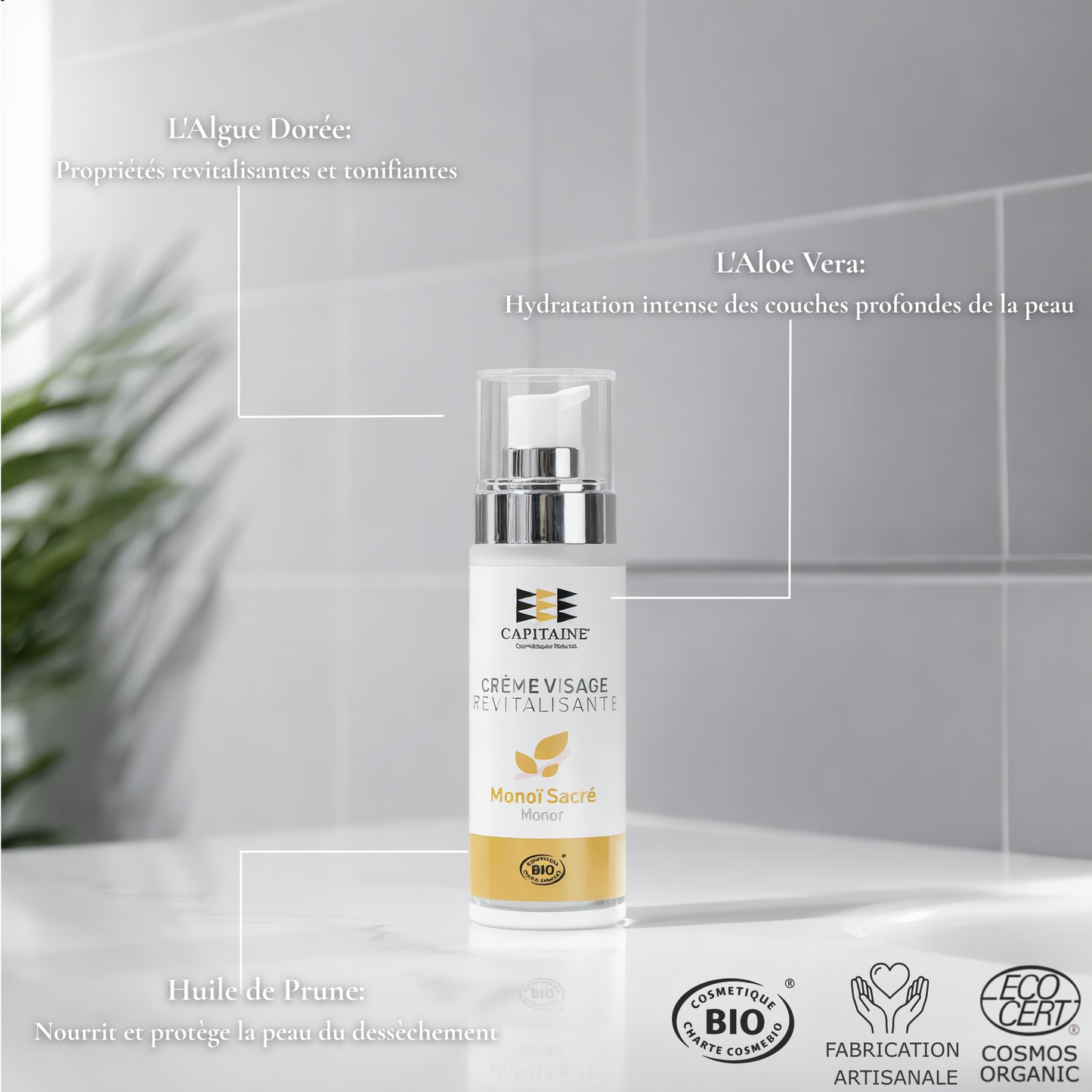 Crème Visage BIO Revitalisante