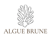  Algue Brune 