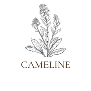  Huile de graine de cameline bio 