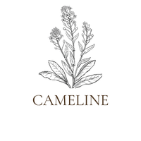  Huile de graine de cameline bio 