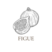  Extrait de Figue