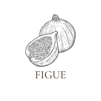  Extrait de Figue