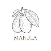  Huile de graine de marula bio 