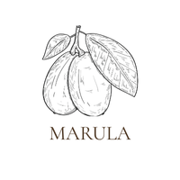  Huile de graine de marula bio 